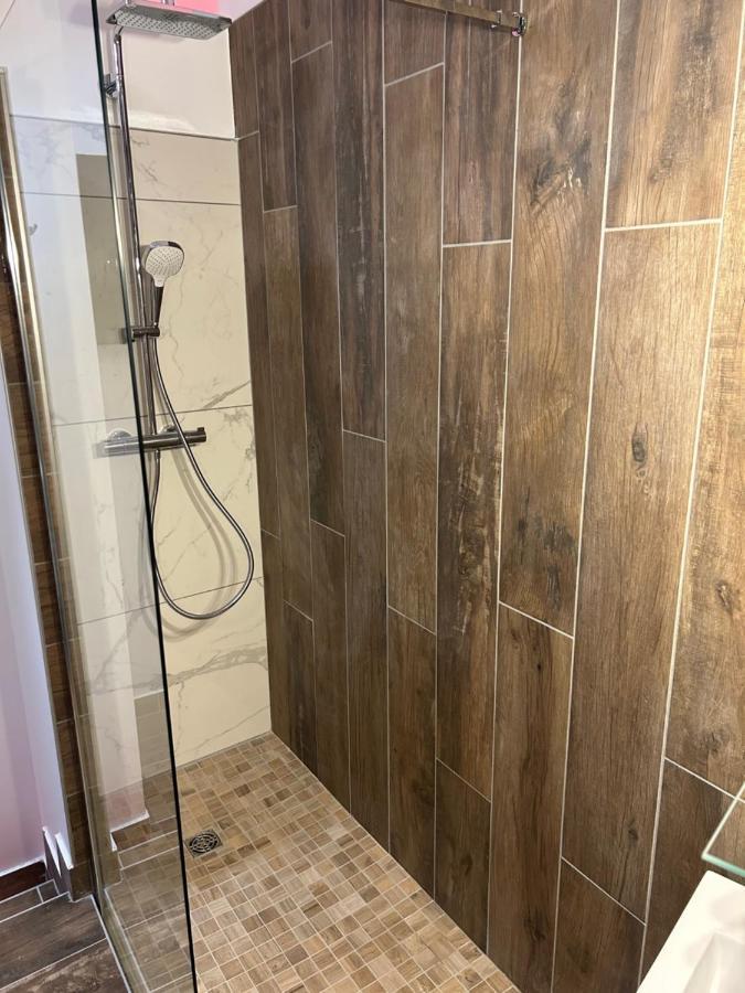 Chambre La Suite Pres Gare Grenoble Kültér fotó